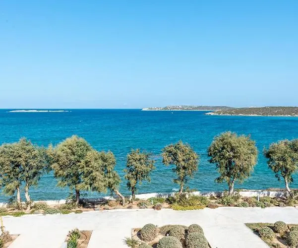 Paros Comfy נאוסה