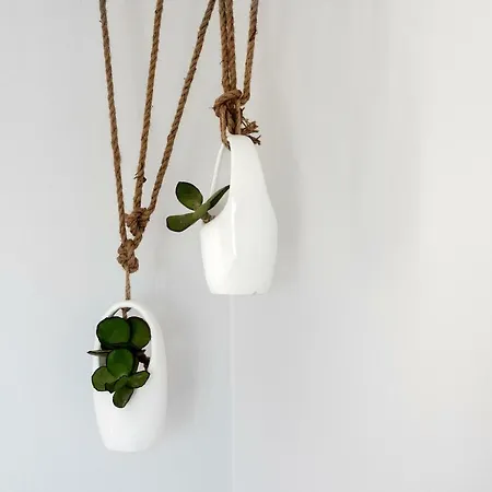 Paros Comfy מלון נאוסה